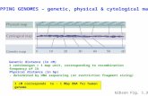MAPPING GENOMES – genetic, physical & cytological maps Genetic distance (in cM) 1 centimorgan = 1 map unit, corresponding to recombination frequency of.