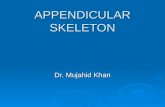 APPENDICULAR SKELETON Dr. Mujahid Khan. Composition  The appendicular skeleton consists of pectoral girdles and limb bones  Mesenchymal bones form during.