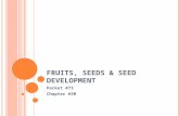 FRUITS, SEEDS & SEED DEVELOPMENT Packet #73 Chapter #30.