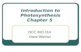 Introduction to Photosynthesis Chapter 5 OCC BIO-114 Dave Werner.