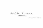 Public Finance (MPA405) Dr. Khurrum S. Mughal. Lecture 2: Efficiency: Criterion and Government Public Finance.