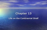 Chapter 13 Life on the Continental Shelf. The continental shelf is the submerged edge of a continental plate. The continental shelf is the submerged edge.