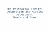 The Postpartal Family: Adaptation and Nursing Assessment Needs and Care.
