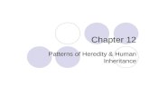 Chapter 12 Patterns of Heredity & Human Inheritance.