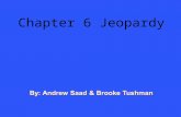 Chapter 6 Jeopardy. 6.1-6.3 6.4 Definitions 6.5 & Definitions 6.6 & Focus Ons 10 20 30 40 50.