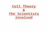 Cell Theory & The Scientists Involved Robert Hooke.