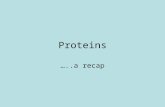 Proteins …..a recap. Characteristics of Proteins Are made up of monomers These are called amino acids There are 20 amino acids And they all have the general.