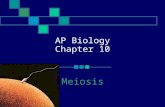 AP Biology Chapter 10 Meiosis. Key Concepts: Sexual reproduction entails meiosis, gamete formation, and fertilization Germ cells of male and female animals.