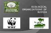 ECOLOGICAL ORGANIZATOINS OF RUSSIA. Today our environment and wildlife are in danger. Every day the situation becomes worse and worse.  Our project is.