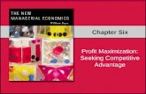 Chapter Six Profit Maximization: Seeking Competitive Advantage.