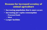 Reasons for increased scrutiny of animal agriculture Increasing population that is more aware Increasing per capita consumption –Processed foods –Meat.