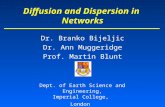 Dr. Branko Bijeljic Dr. Ann Muggeridge Prof. Martin Blunt Diffusion and Dispersion in Networks Dept. of Earth Science and Engineering, Imperial College,