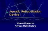 Aquatic Rehabilitation Device Kylene Kownurko Advisor: Mollie Malone.