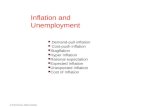 © 2010 Pearson Addison-Wesley Inflation and Unemployment  Demand-pull inflation  Cost-push inflation  Stagflation  Hyper Inflation  Rational expectation.