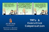 TMTs & Executive Compensation. Top Management Team Who are they?