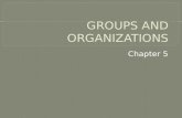 Chapter 5.  Social groups: important for survival  As infants, we would die if it weren’t for “family groups”  As adults, we need even more!