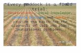 Every paddock is a field trial: Observations, local knowledge, paddock history and tests provide the basis for the diagnosis of soil and plant nutritional.