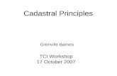 Cadastral Principles TCI Workshop 17 October 2007 Grenville Barnes.