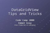 DataGridView Tips and Tricks Code Camp 2008 Emmet Gray .