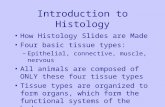Introduction to Histology How Histology Slides are Made Four basic tissue types: –Epithelial, connective, muscle, nervous All animals are composed of ONLY.