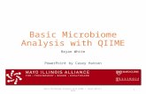 Basic Microbiome Analysis with QIIME Bryan White Basic Microbiome Analysis with QIIME | Bryan White | 20151 PowerPoint by Casey Hanson.
