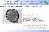 Charge collection in irradiated pixel sensors V. Chiochia a, C.Amsler a, D.Bortoletto c, L.Cremaldi d, S.Cucciarelli e, A.Dorokhov a,b*, C.Hörmann a,b,