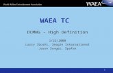 1 WAEA TC DCMWG - High Definition 1/22/2008 Larry Iboshi, Imagik International Jason Songer, Spafax.