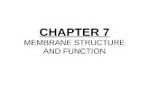 CHAPTER 7 MEMBRANE STRUCTURE AND FUNCTION. CHAPTER 7 MEMBRANE STUCTURE AND FUNCTION Section A: Membrane Structure 1.Membrane models have evolved to fit.