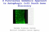A Functional Genomics Approach to Autophagic Cell Death Gene Discovery Genome Sciences Centre British Columbia Cancer Agency CATGGCGTGGGGAT CATGGCTAATAAAT.