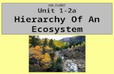 OUR PLANET Unit 1-2a Hierarchy Of An Ecosystem. Life On Earth Biosphere – The region on Earth where all living things are found; From the highest mountain.