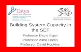 Building System Capacity in the SEF Professor David Egan Professor Alma Harris Professor David Hopkins.