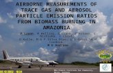 AIRBORNE MEASUREMENTS OF TRACE GAS AND AEROSOL PARTICLE EMISSION RATIOS FROM BIOMASS BURNING IN AMAZONIA P Guyon, M Welling, G Frank, P Artaxo, G Nishioka,