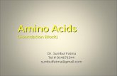 Amino Acids (Foundation Block) Dr. Sumbul Fatma Dr. Sumbul Fatma Tel # 014671344 sumbulfatma@gmail.com.