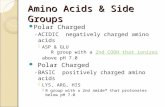 Amino Acids & Side Groups Polar Charged ◦ ACIDIC negatively charged amino acids  ASP & GLU R group with a 2nd COOH that ionizes* above pH 7.02nd COOH.