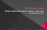 All living organisms require several compounds to continue to live.  We call these compounds biomolecules. All of these biomolecules are organic, which.