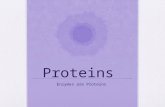 Proteins Enzymes are Proteins. Proteins Proteins: a chain of amino acids 20 different amino acids are found in proteins