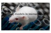 Mouse models in Immunology. Animal models Naturally occurring or experimentally induced animal diseases with pathological processes sufficiently similar.