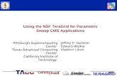 Using the NSF TeraGrid for Parametric Sweep CMS Applications Jeffrey P. Gardner Edward Walker Vladimir Litvin Pittsburgh Supercomputing Center Texas Advanced.