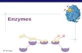 AP Biology Enzymes. AP Biology Enzymes  Biological catalysts  Catalysts – speed up reactions (not all catalysts are enzymes)  Enzymes are proteins.