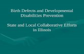 Birth Defects and Developmental Disabilities Prevention State and Local Collaborative Efforts in Illinois.