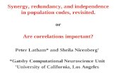 Synergy, redundancy, and independence in population codes, revisited. or Are correlations important? Peter Latham* and Sheila Nirenberg † *Gatsby Computational.