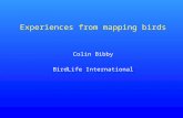 Experiences from mapping birds Colin Bibby BirdLife International.