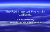 The Red Imported Fire Ant in California Dr. Les Greenberg University of California, Riverside.