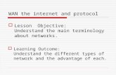 WAN the internet and protocol  Lesson Objective: Understand the main terminology about networks.  Learning Outcome: Understand the different types of.
