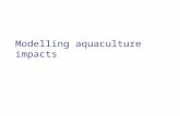 Modelling aquaculture impacts. MOM (Modelling - Ongrowing fish farms - Monitoring) This model developed in Norway is a three component model for modelling.