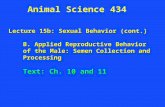 Lecture 15b: Sexual Behavior (cont.) B. Applied Reproductive Behavior of the Male: Semen Collection and Processing Text: Ch. 10 and 11 Animal Science 434.