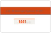 Ltd. Brokerage Agency ROOT. About Brokerage agency ROOT Agency founded in 2005. year. Paid-in capital - 35 000 LVL Agency has 15 employees. Managerial.