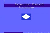 Selection Control Structure. Topics Review sequence control structure Structure theorem Selection control structure If statement Relational operators.