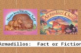 Armadillos: Fact or Fiction?. The three-banded armadillo can roll into a ball. It is the ONLY armadillo that can do this.