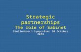 Strategic partnerships The role of Sabinet Stellenbosch Symposium: 30 October 2003.